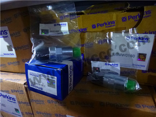 1206E柴油機(jī)T410145柴油燃油泵、溫度感應(yīng)傳感器、燃料過(guò)濾器(1206E)